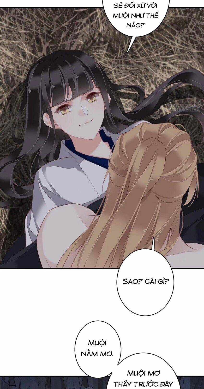Quận chúa bất tư gia: Chapter 73