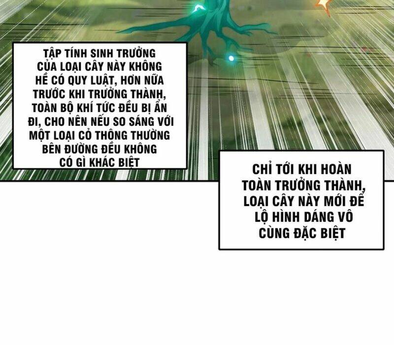 Tiên Tử, Ngươi Có Điềm Đại Hung!: Chapter 17