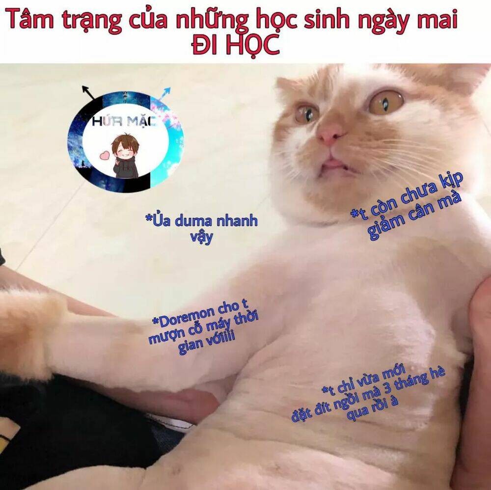 Lão Đại Xuyên Không Thành Tiên Nữ: Chapter 33.1