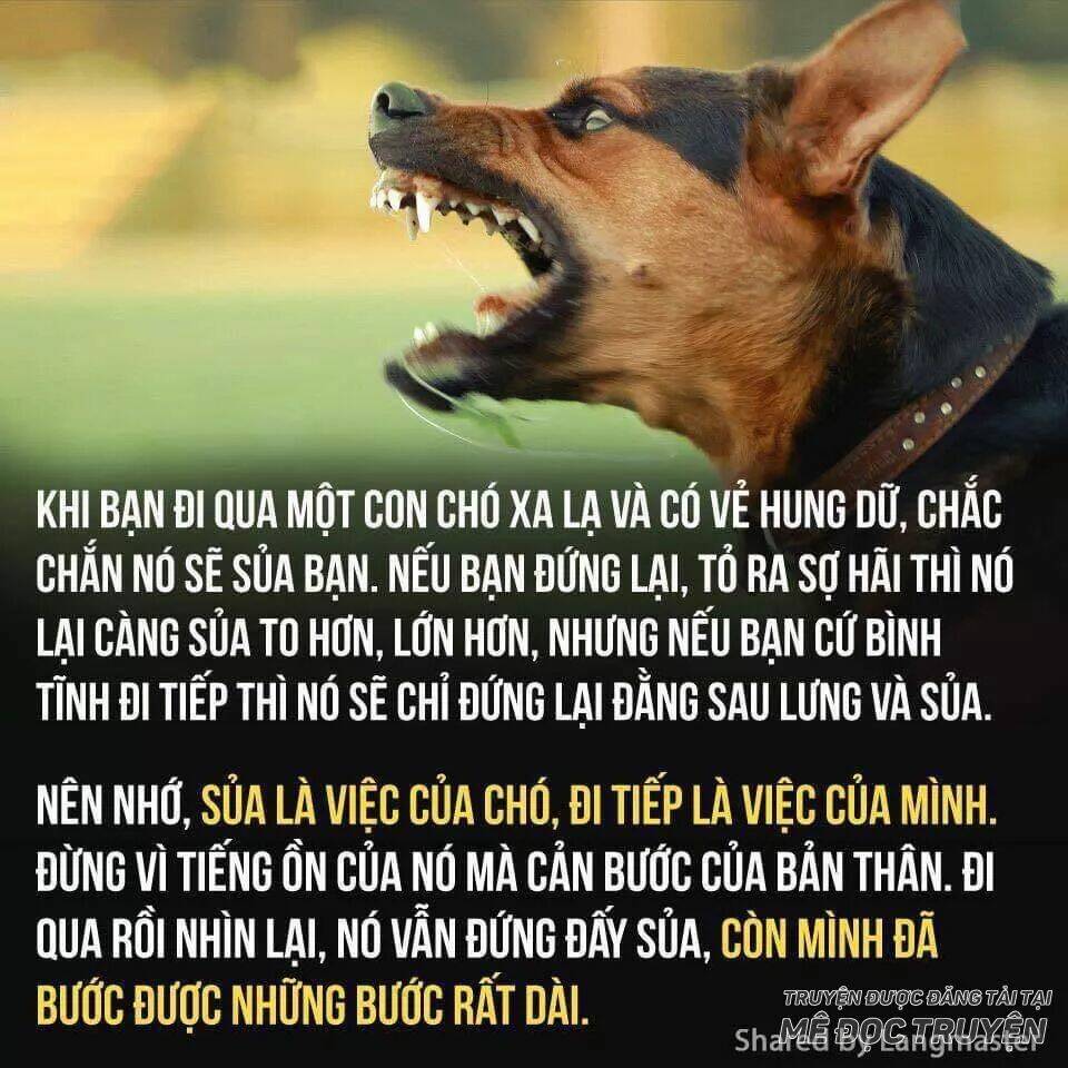 Lão Đại Xuyên Không Thành Tiên Nữ: Chapter 47.1: bão 1