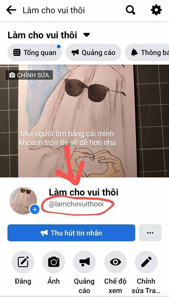 Lão Đại Xuyên Không Thành Tiên Nữ: Chapter 95