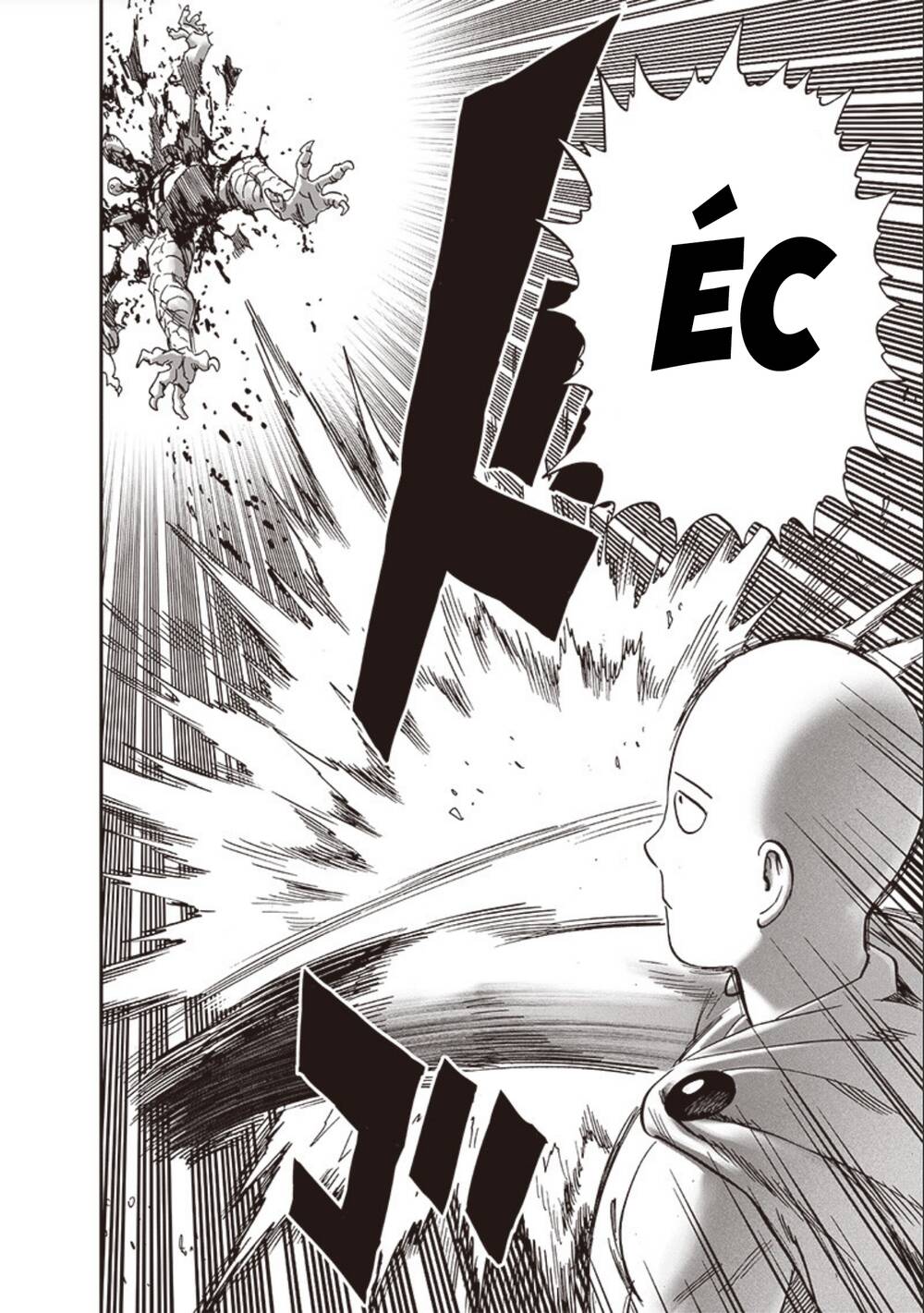 Anh Hùng OnePunch: Chapter 240