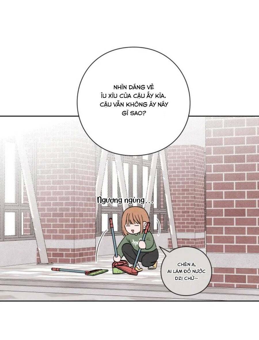 Bí Mật Thanh Xuân: Chapter 11