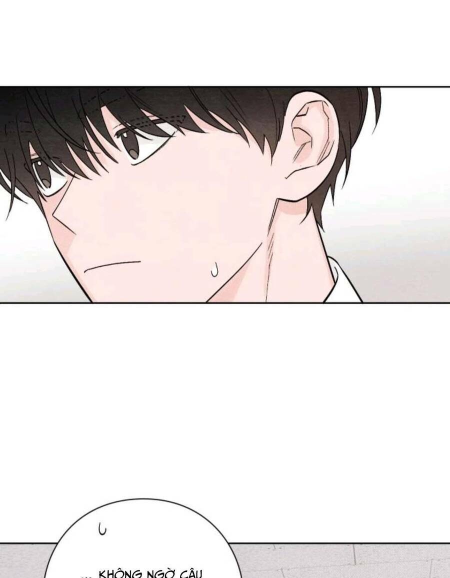 Bí Mật Thanh Xuân: Chapter 11