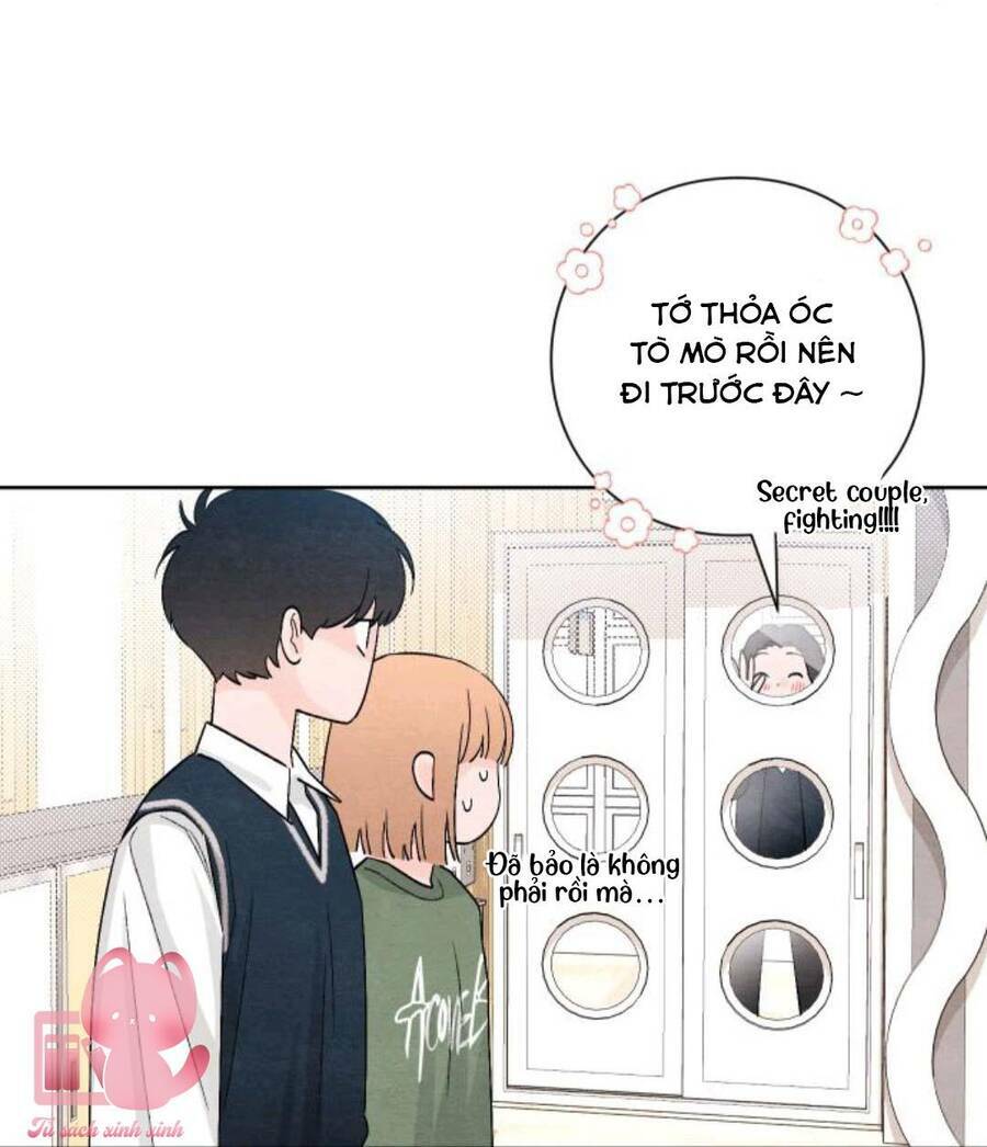 Bí Mật Thanh Xuân: Chapter 11