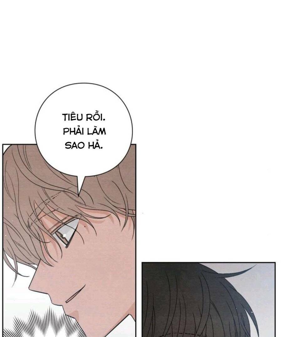Bí Mật Thanh Xuân: Chapter 14
