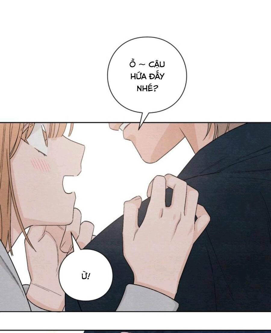 Bí Mật Thanh Xuân: Chapter 14
