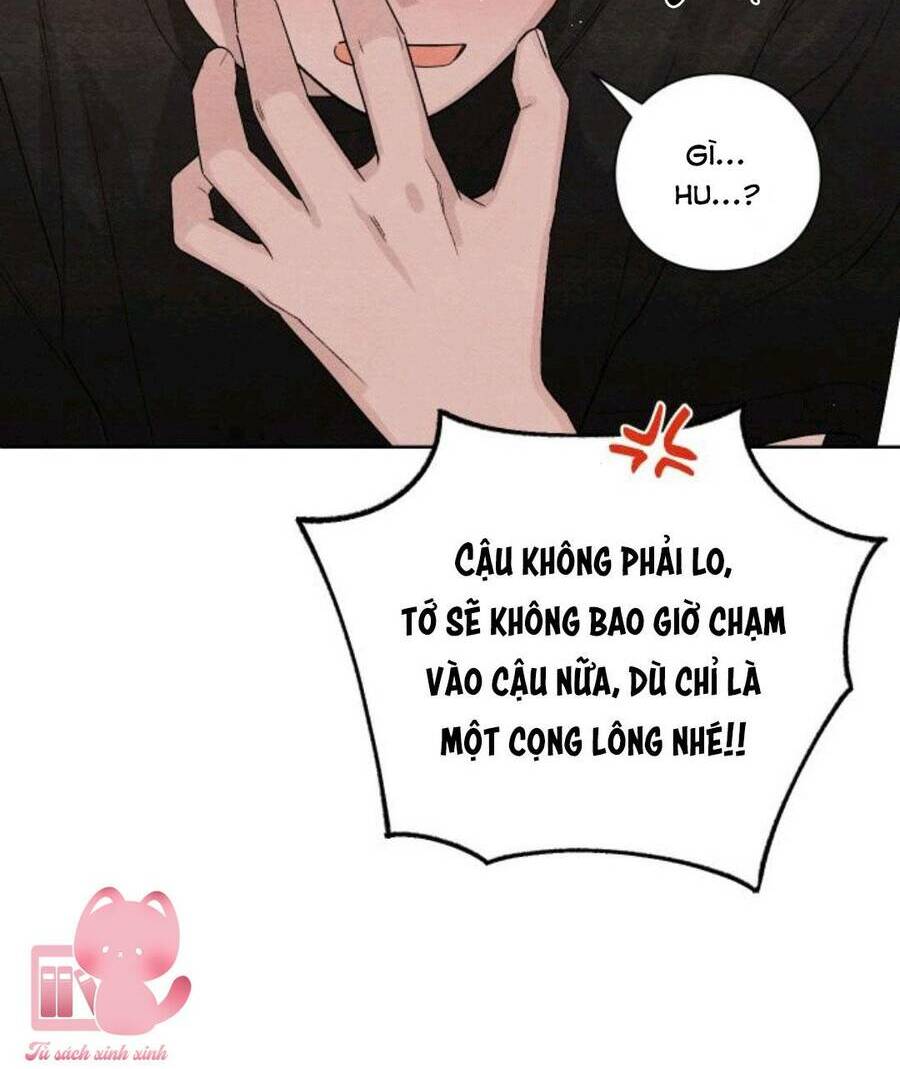 Bí Mật Thanh Xuân: Chapter 15