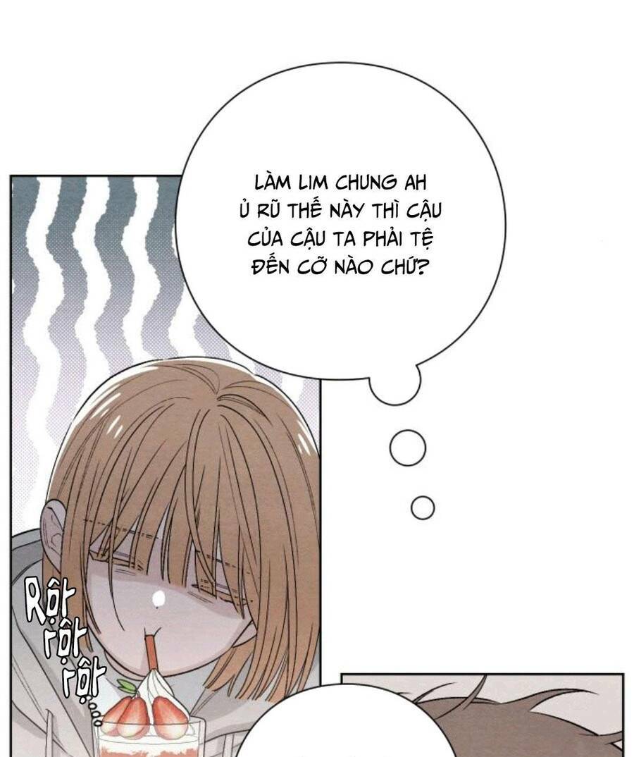 Bí Mật Thanh Xuân: Chapter 15
