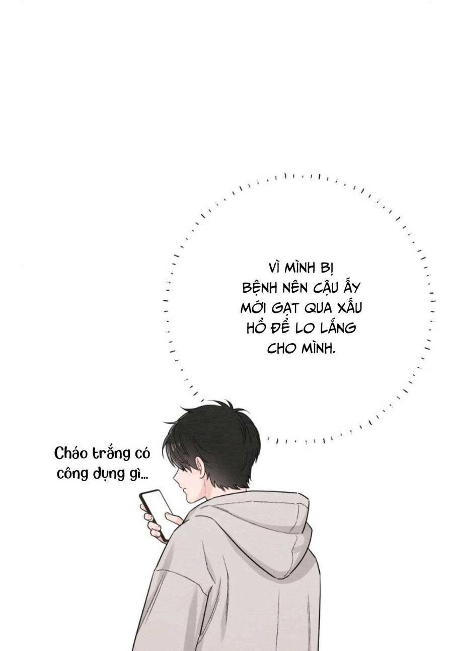 Bí Mật Thanh Xuân: Chapter 26