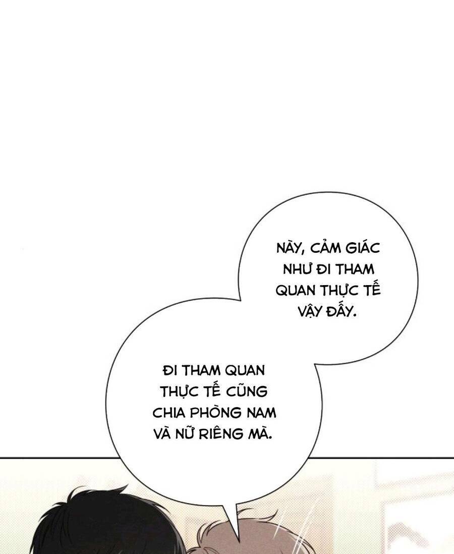 Bí Mật Thanh Xuân: Chapter 38