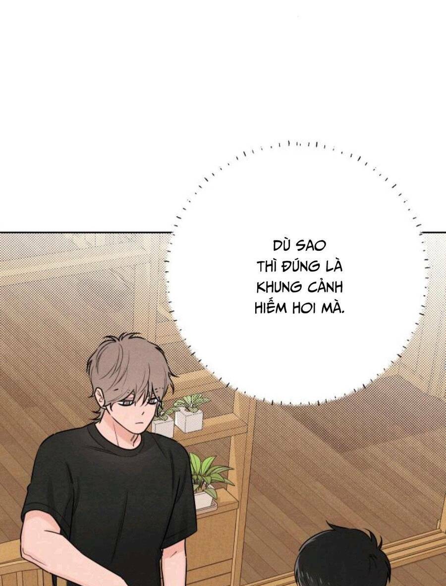 Bí Mật Thanh Xuân: Chapter 38