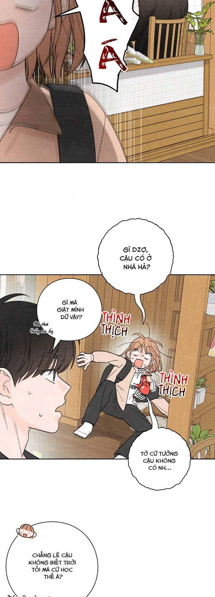 Bí Mật Thanh Xuân: Chapter 4