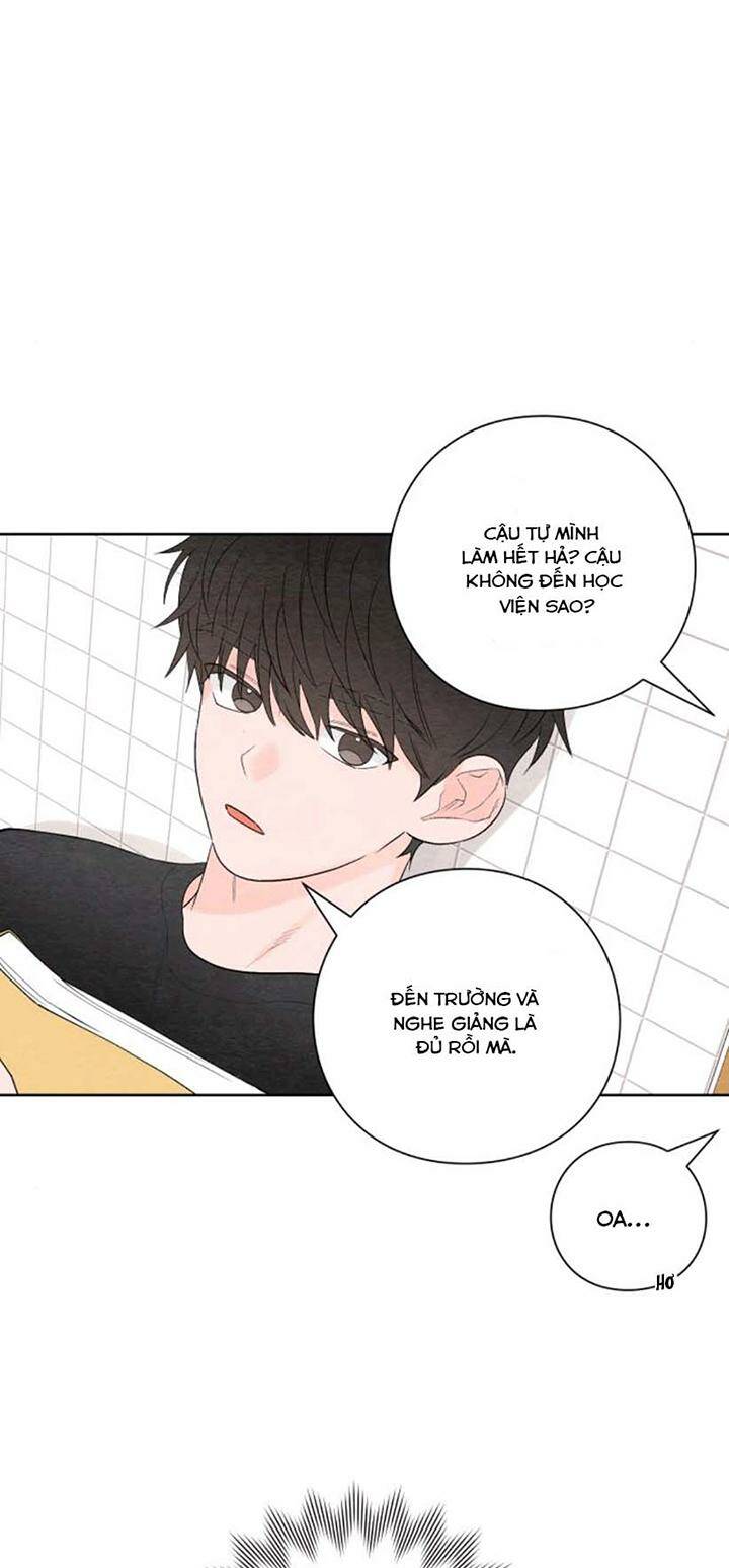 Bí Mật Thanh Xuân: Chapter 4