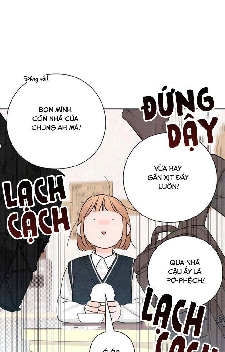 Bí Mật Thanh Xuân: Chapter 4