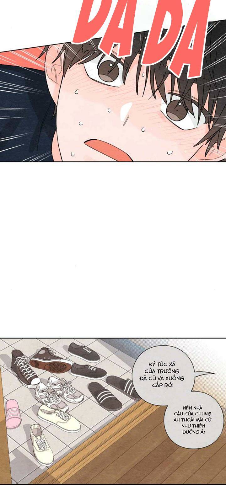 Bí Mật Thanh Xuân: Chapter 4