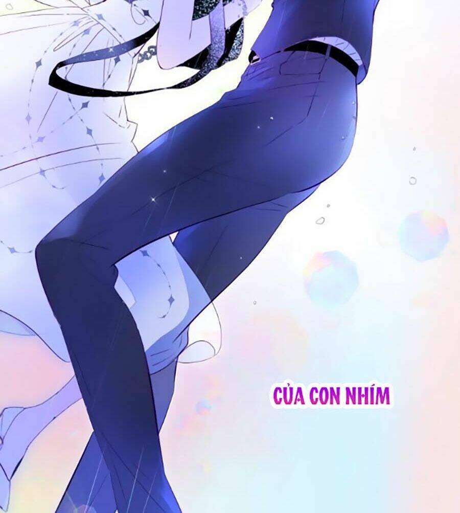 Hoa Bỏ Chạy Với Nhím Rồi: Chapter 1.1