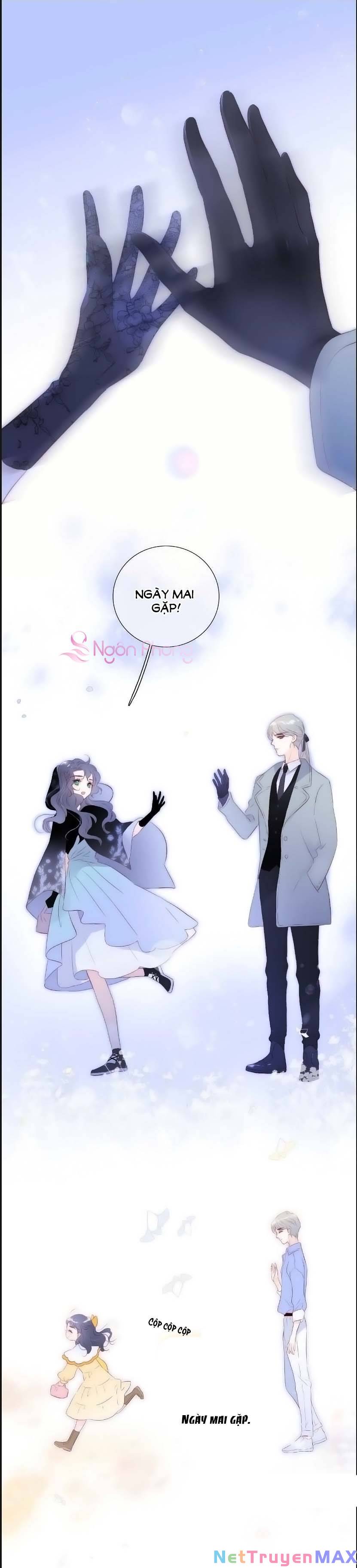Hoa Bỏ Chạy Với Nhím Rồi: Chapter 102