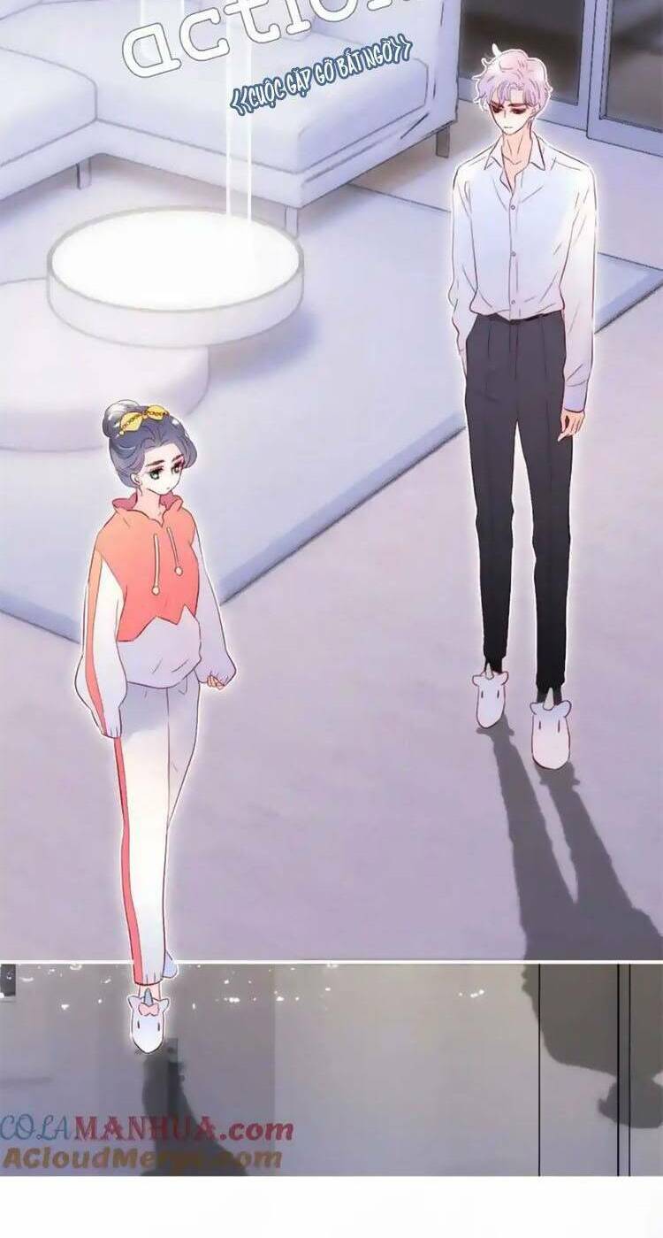 Hoa Bỏ Chạy Với Nhím Rồi: Chapter 103.5