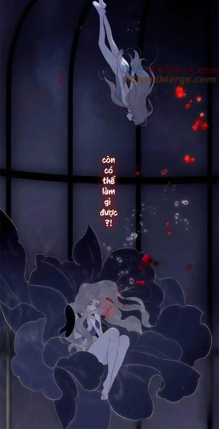 Hoa Bỏ Chạy Với Nhím Rồi: Chapter 103.7