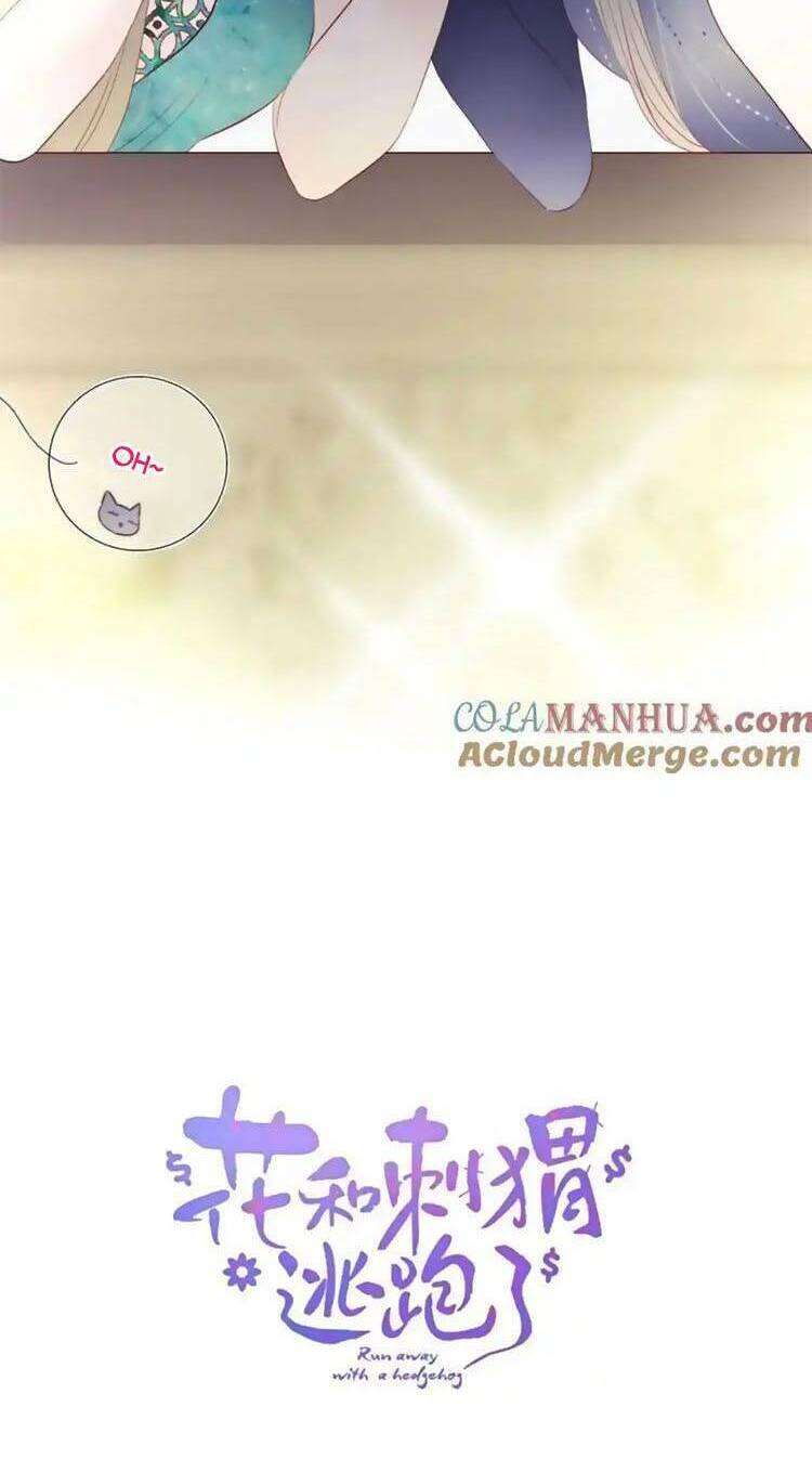 Hoa Bỏ Chạy Với Nhím Rồi: Chapter 103.7