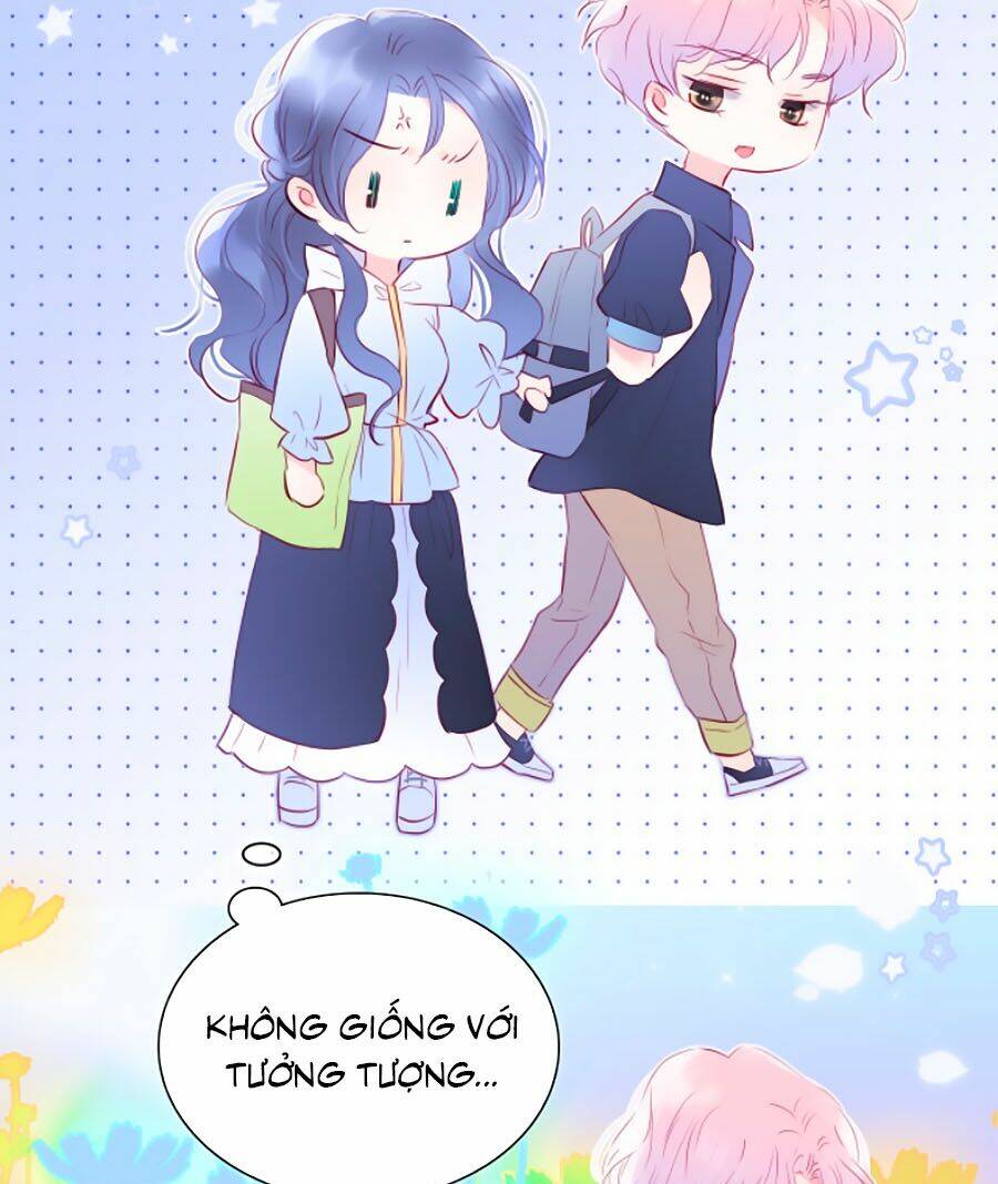 Hoa Bỏ Chạy Với Nhím Rồi: Chapter 12