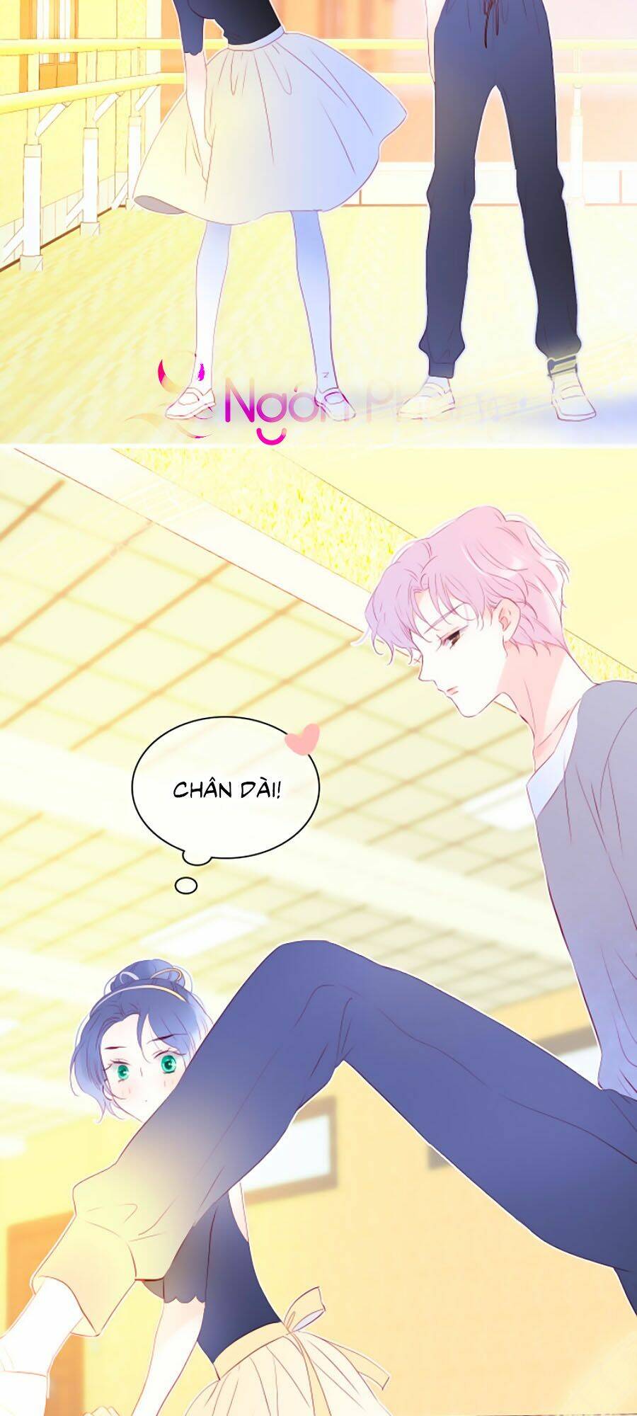 Hoa Bỏ Chạy Với Nhím Rồi: Chapter 16