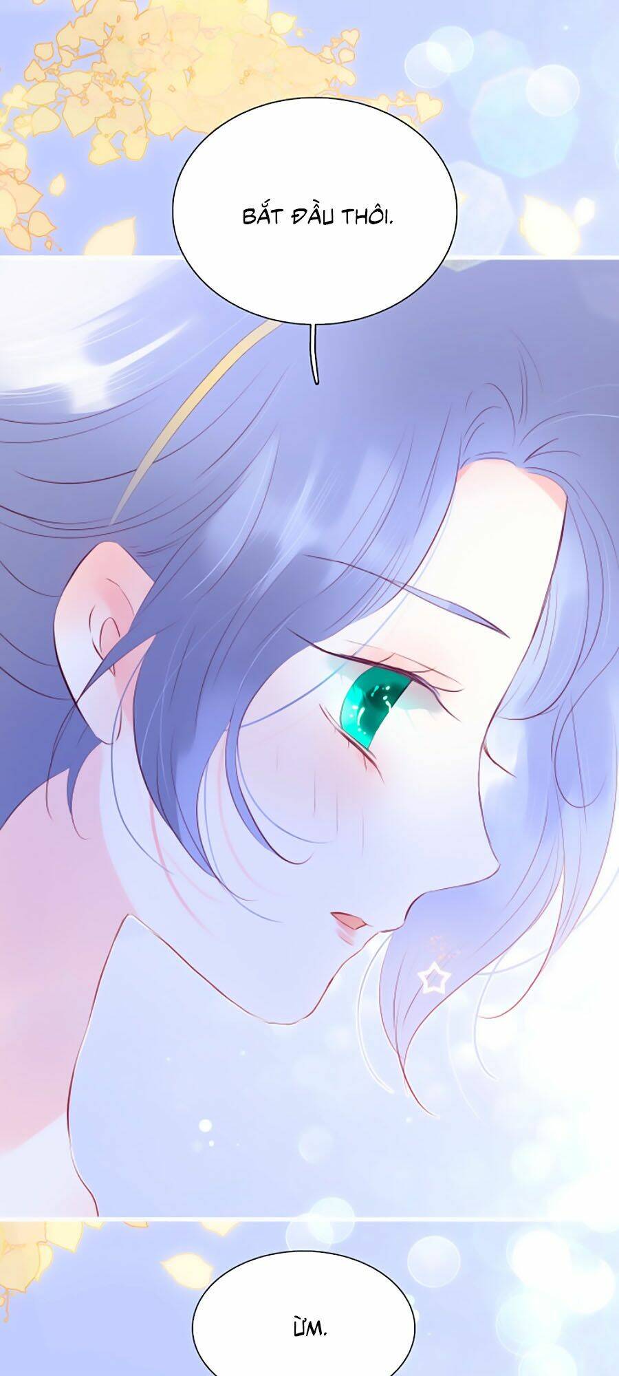 Hoa Bỏ Chạy Với Nhím Rồi: Chapter 16