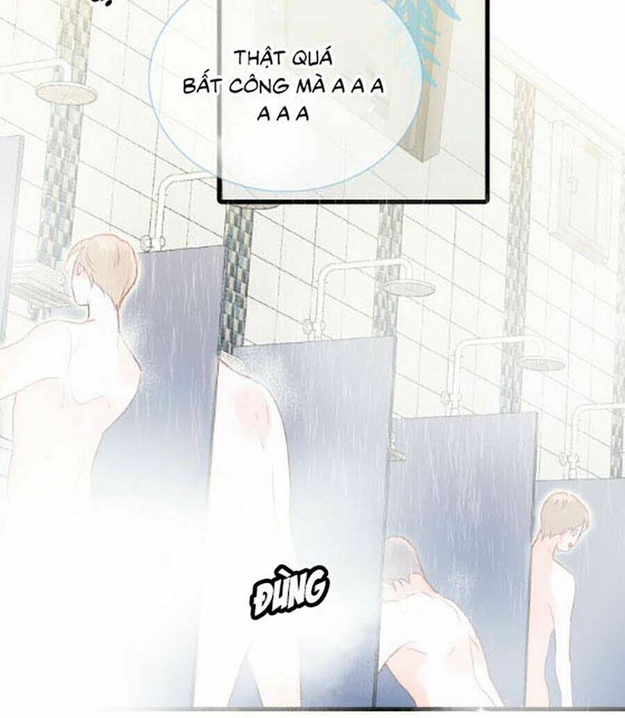 Hoa Bỏ Chạy Với Nhím Rồi: Chapter 2