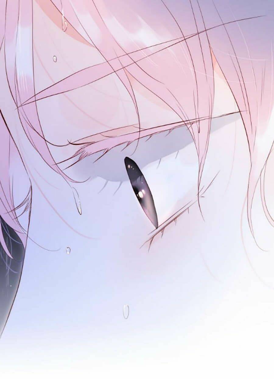 Hoa Bỏ Chạy Với Nhím Rồi: Chapter 2