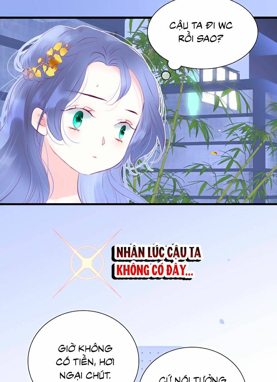 Hoa Bỏ Chạy Với Nhím Rồi: Chapter 23