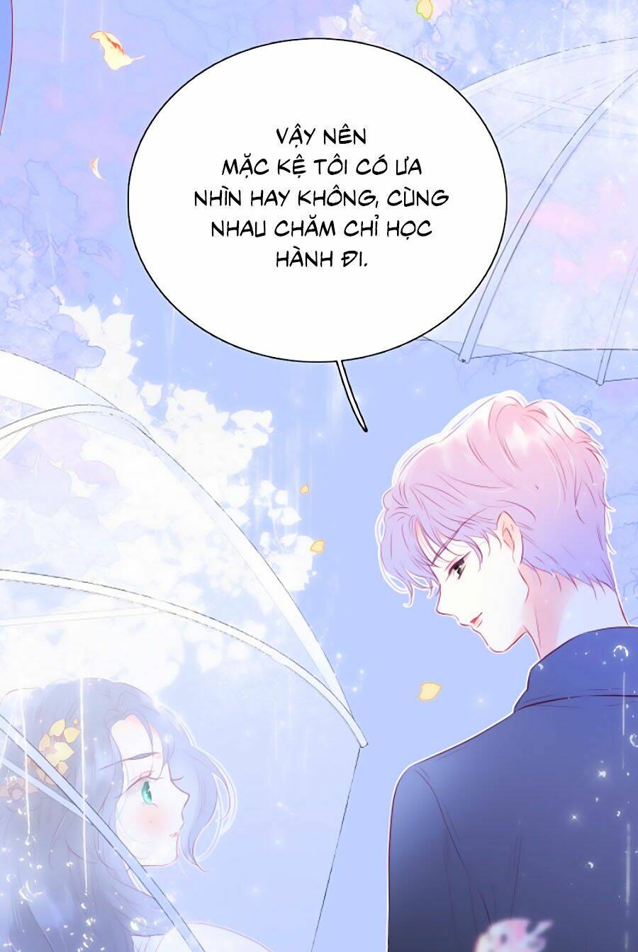 Hoa Bỏ Chạy Với Nhím Rồi: Chapter 23