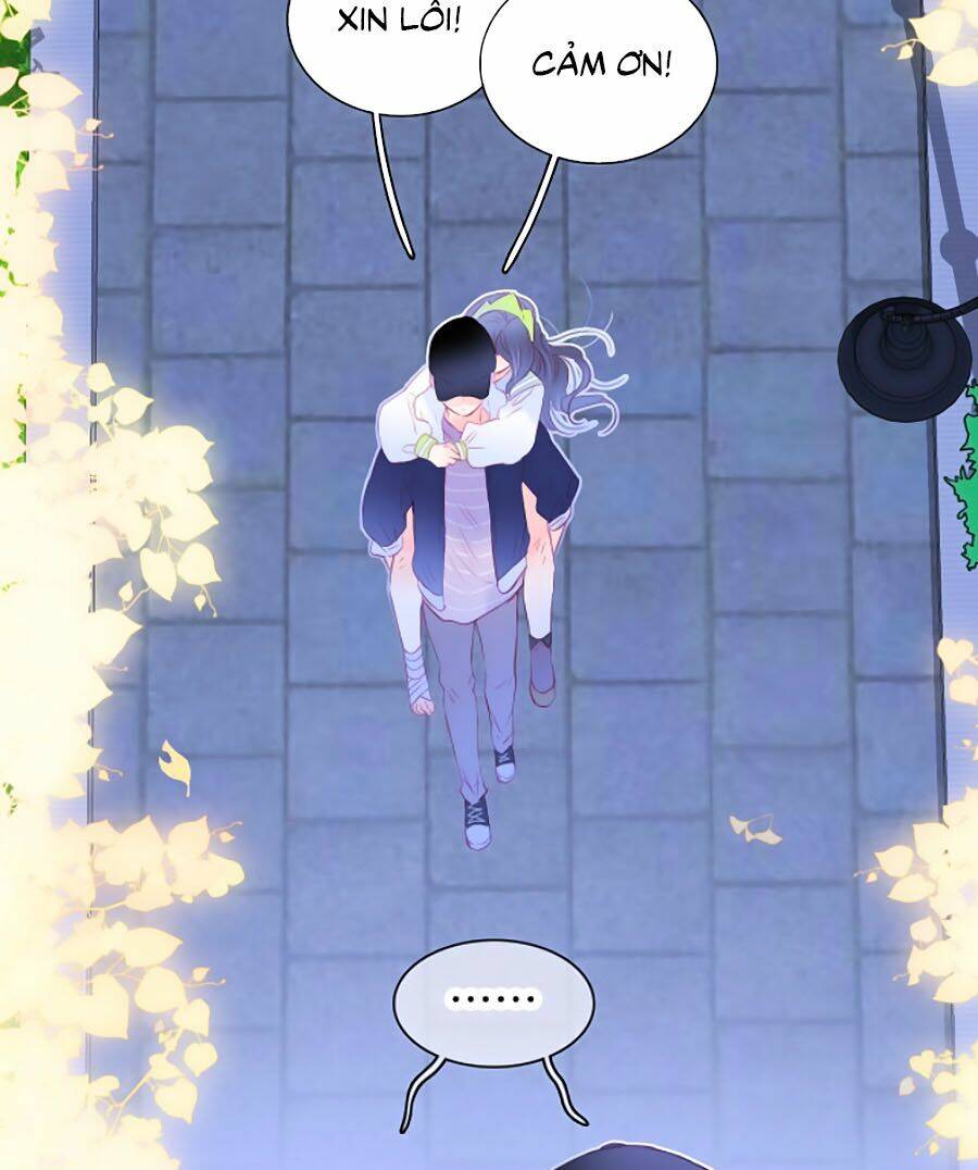 Hoa Bỏ Chạy Với Nhím Rồi: Chapter 28