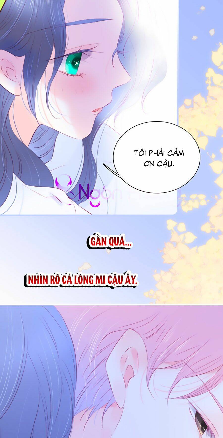 Hoa Bỏ Chạy Với Nhím Rồi: Chapter 28
