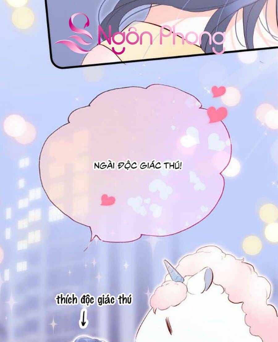 Hoa Bỏ Chạy Với Nhím Rồi: Chapter 3