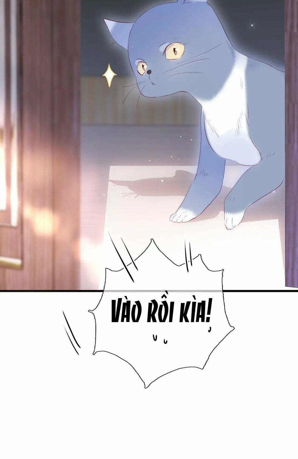 Hoa Bỏ Chạy Với Nhím Rồi: Chapter 34