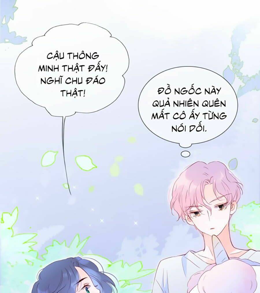 Hoa Bỏ Chạy Với Nhím Rồi: Chapter 4.1