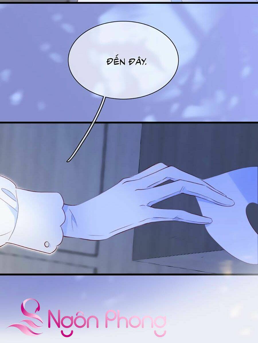 Hoa Bỏ Chạy Với Nhím Rồi: Chapter 4.2