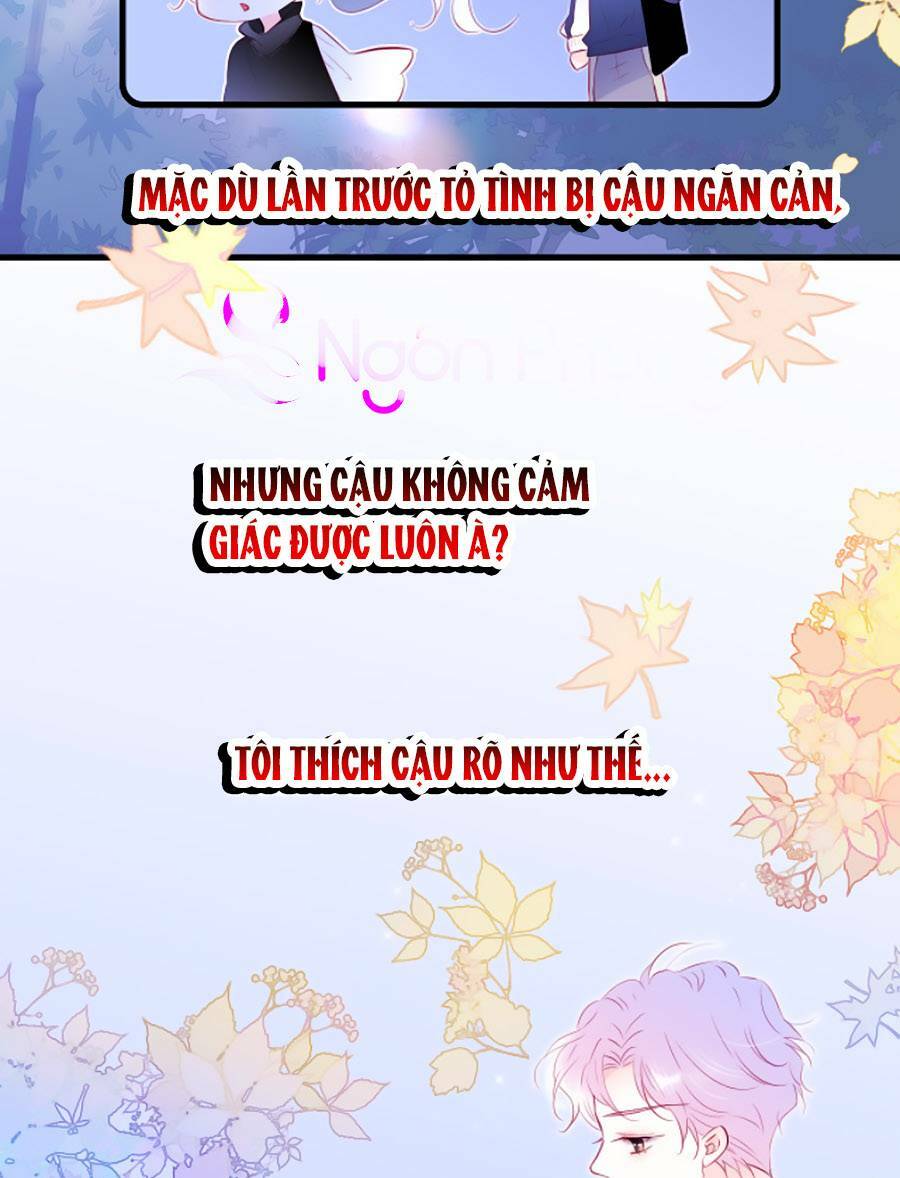 Hoa Bỏ Chạy Với Nhím Rồi: Chapter 44