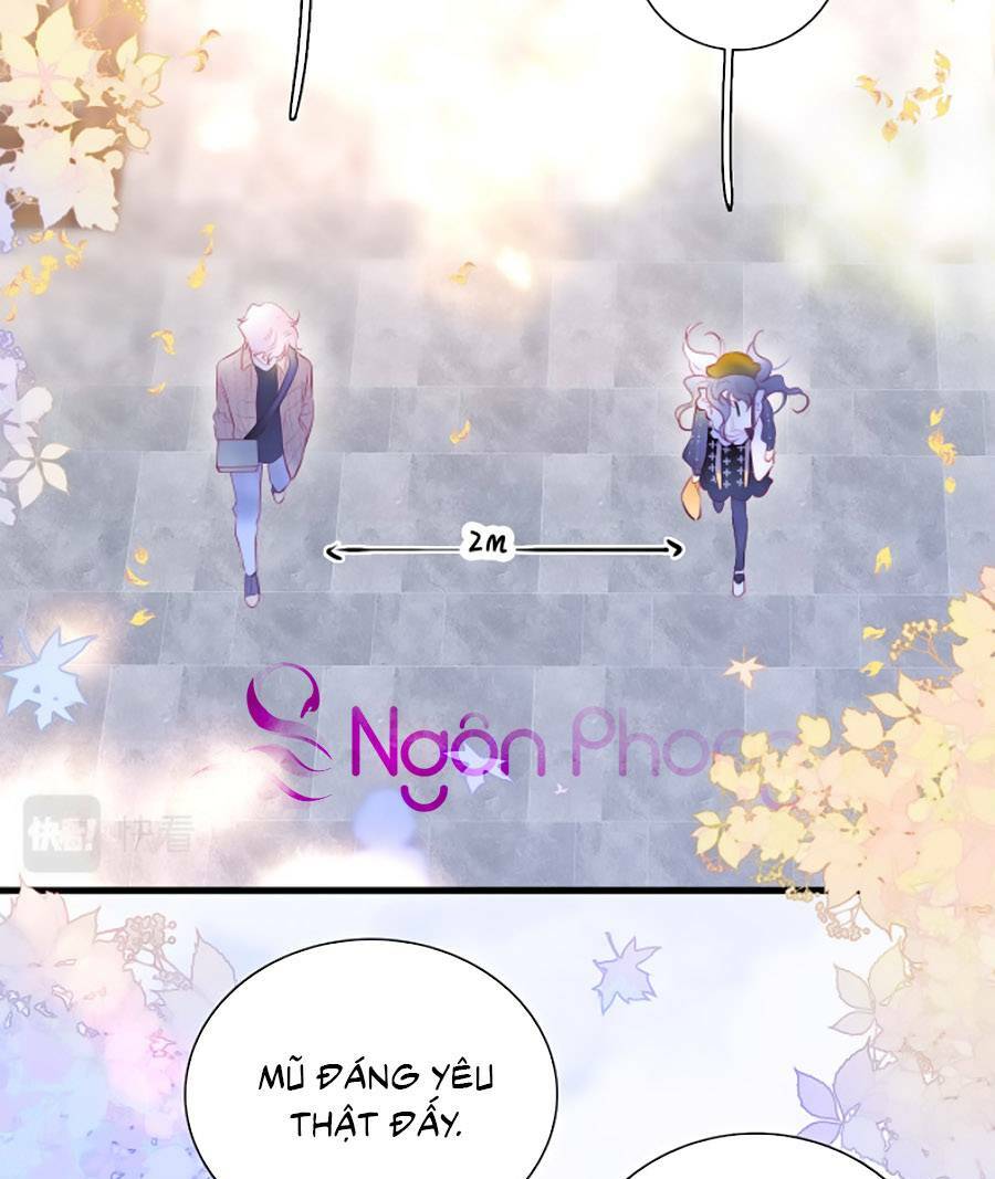 Hoa Bỏ Chạy Với Nhím Rồi: Chapter 47