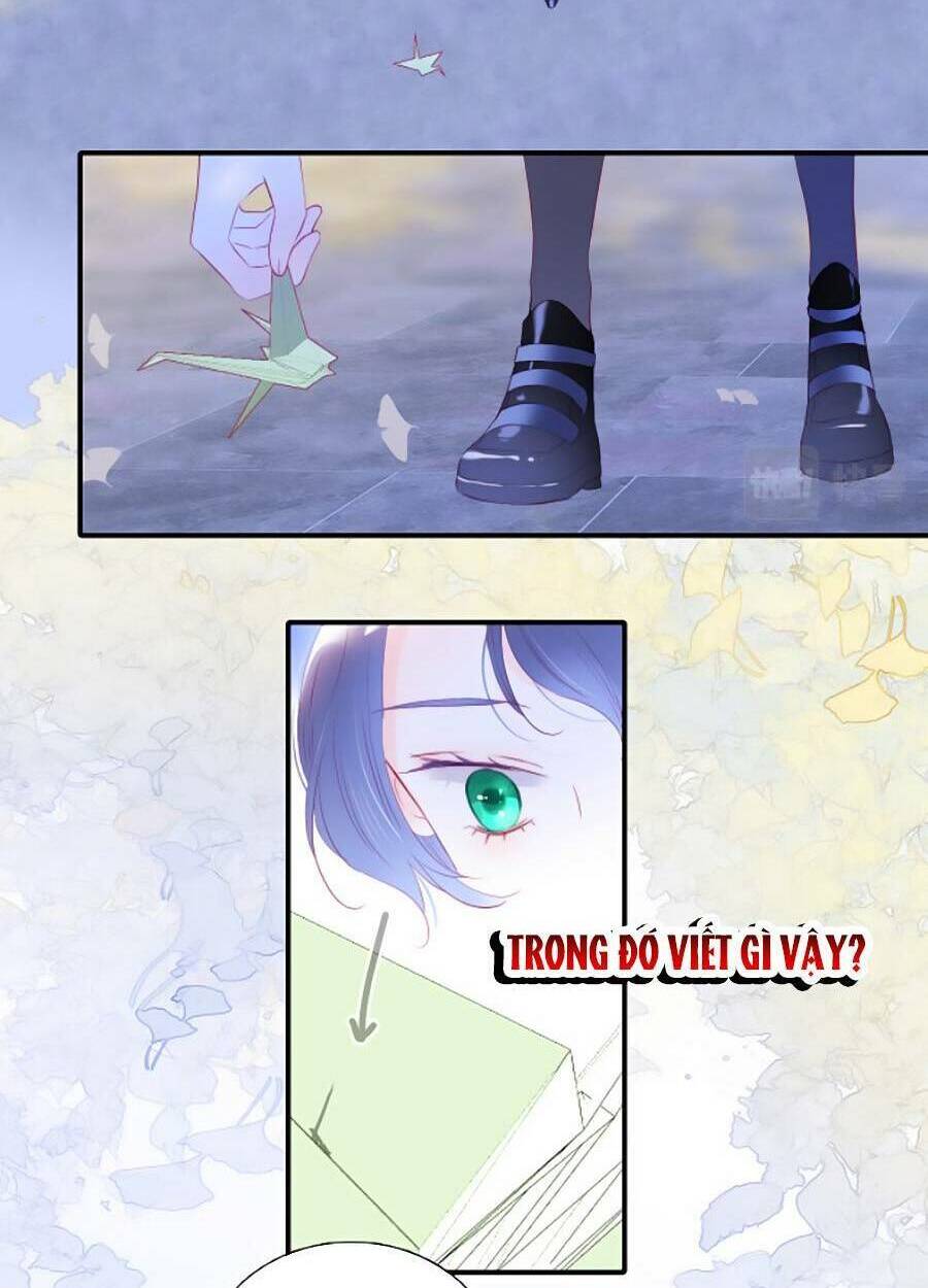 Hoa Bỏ Chạy Với Nhím Rồi: Chapter 56