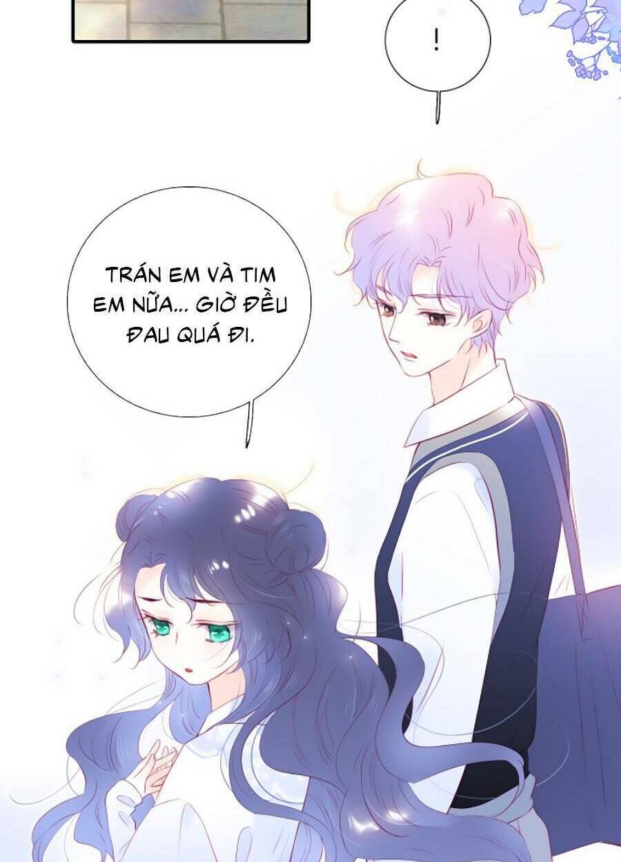 Hoa Bỏ Chạy Với Nhím Rồi: Chapter 56