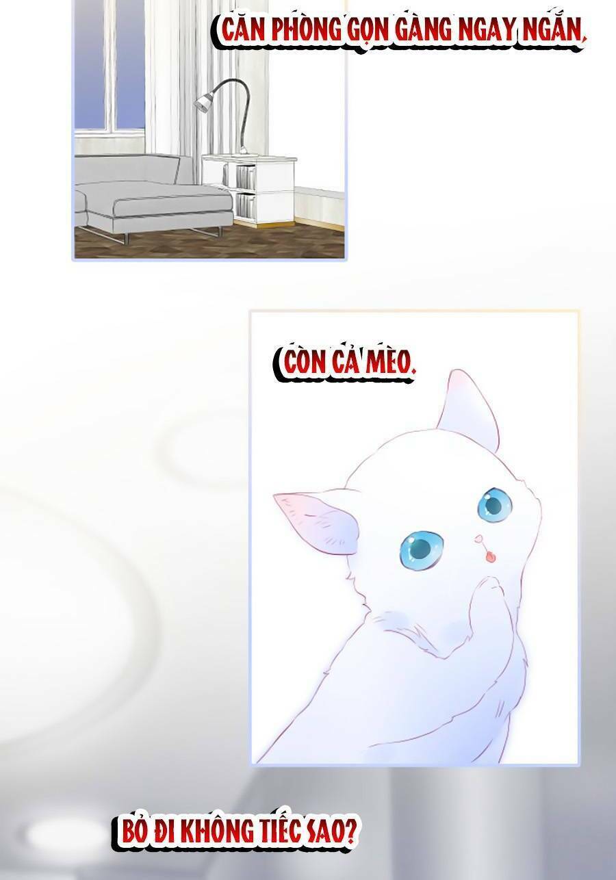 Hoa Bỏ Chạy Với Nhím Rồi: Chapter 58