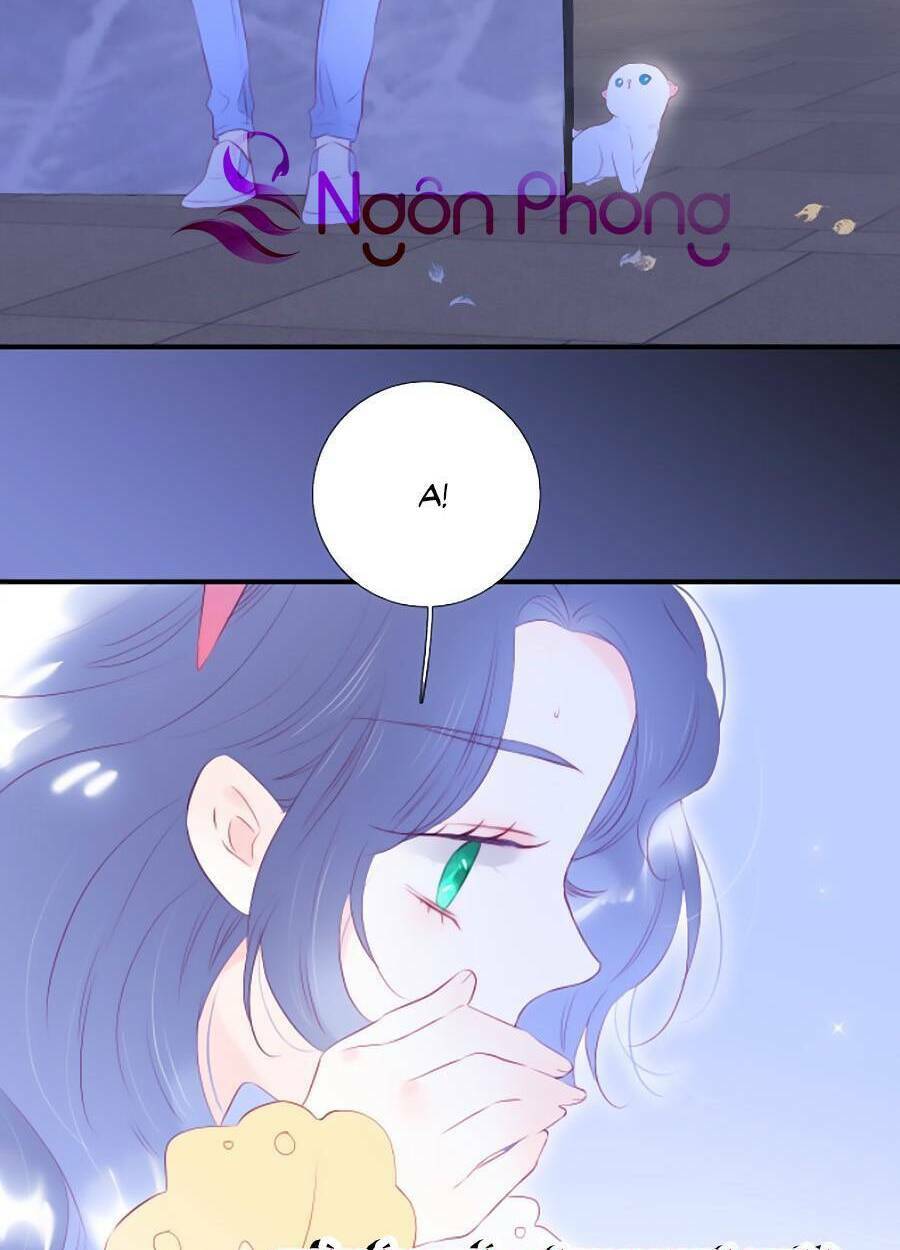 Hoa Bỏ Chạy Với Nhím Rồi: Chapter 58