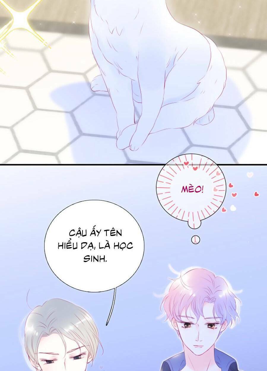 Hoa Bỏ Chạy Với Nhím Rồi: Chapter 58