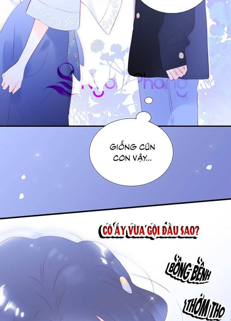 Hoa Bỏ Chạy Với Nhím Rồi: Chapter 58