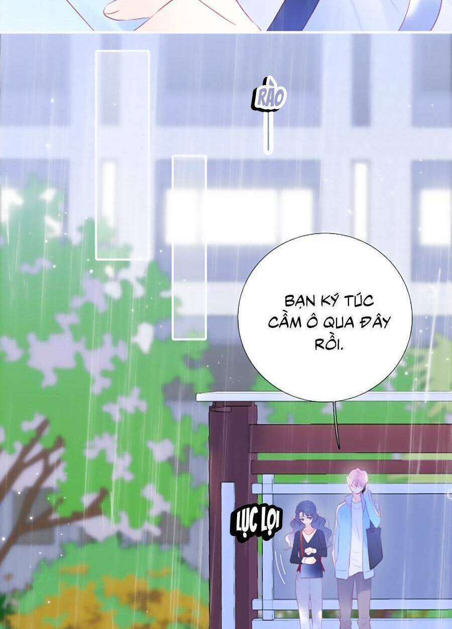 Hoa Bỏ Chạy Với Nhím Rồi: Chapter 59