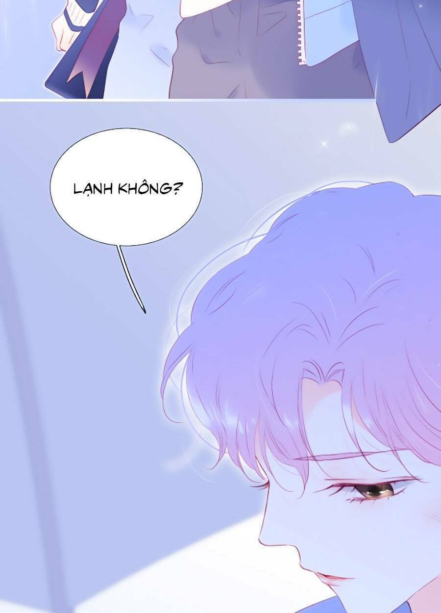 Hoa Bỏ Chạy Với Nhím Rồi: Chapter 60