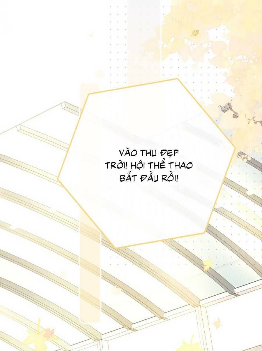 Hoa Bỏ Chạy Với Nhím Rồi: Chapter 61