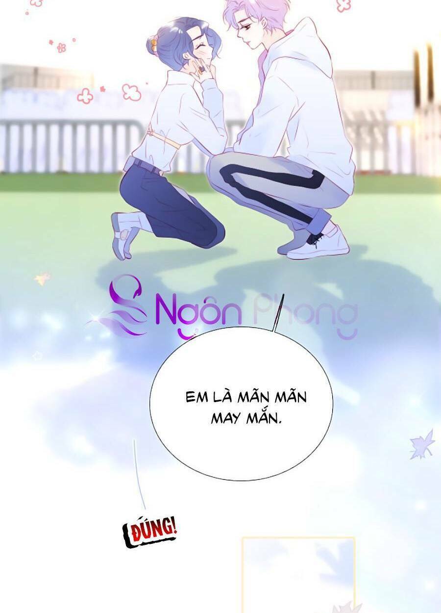 Hoa Bỏ Chạy Với Nhím Rồi: Chapter 64
